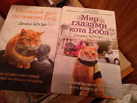Отдается в дар Книга о Рыжем коте Уличный кот по имени Боб