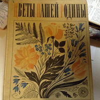 Отдается в дар Книга старая