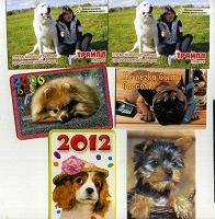 Отдается в дар календари с собаками.