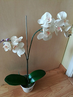Отдается в дар Цветок искусственный Орхидея Фаленопсис