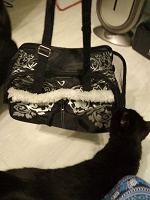 Отдается в дар Зимняя сумка-переноска для котенка