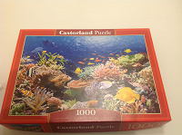 Отдается в дар Puzzle Castorland 1000