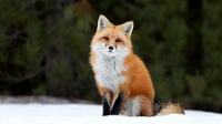немного косметики