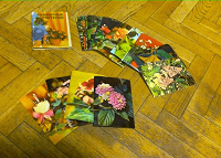 Отдается в дар В коллекцию: Буклеты о комнатных растениях.