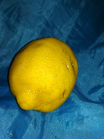 Отдается в дар Лимон для декора