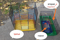Отдается в дар Осталась 1 маленька. Клетки для грызунов.