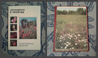 Отдается в дар Лекарственные растения (открытки и книжка) СССР
