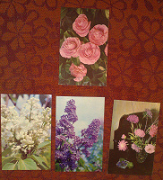 Отдается в дар открытки с цветами 1972-75