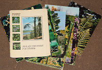 Отдается в дар Набор открыток «Лекарственные растения»