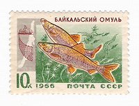 Отдается в дар Марка — Байкальский омуль, 1966, 10к