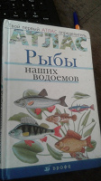 Отдается в дар Книга детская