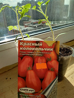 Отдается в дар Рассада томатов
