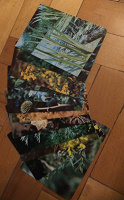 Отдается в дар Неполный набор открыток с растениями