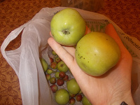Отдается в дар Зеленые яблоки
