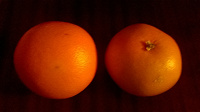 Отдается в дар грейпфрут