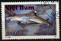 Отдается в дар Почтовые марки Акулы