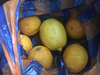 Отдается в дар Лимоны 6 штук азербайджанские