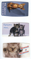 Отдается в дар Маленькие открыточки с кошками