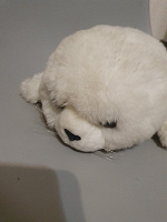 Отдается в дар Плюшевая игрушка белек детеныш тюленя