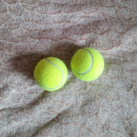 Отдается в дар Мячики теннис новые