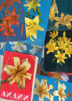 Отдается в дар Набор открыток с лилиями