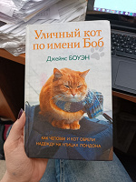 Отдается в дар Д. Боуэн «Уличный кот по имени Боб»