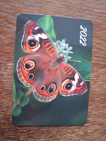 Отдается в дар карманный календарик 2022г, с бабочкой, новый