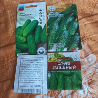 Отдается в дар Семена огурцов
