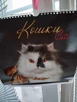Отдается в дар Календарь кошки