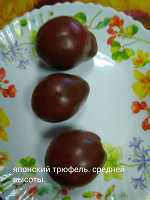 Отдается в дар Семена помидоров «японский трюфель»