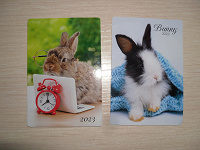 Отдается в дар Карманные календарики — кролики
