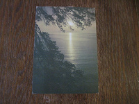Отдается в дар 2 открытки с природой, фото Листопадова, 1987 и 1990 гг