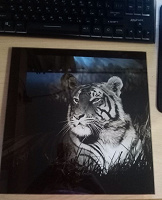 Отдается в дар Картина «Тигр», 30х30, стекло/фотопечать
