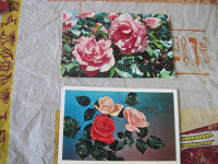 Отдается в дар открытки с розами, фото Матанова, Лисецкого