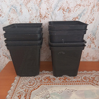 Отдается в дар Горшки для рассады