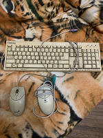 Отдается в дар Компьютерные мышки + клавиатура