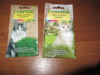 Отдается в дар семена — трава для кошек