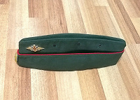 Отдается в дар Пилотка