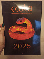 Отдается в дар Календарь 2025