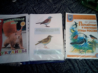 Отдается в дар Книги про птиц и животных