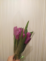 Отдается в дар Тюльпаны розовые и красные (2 фото)