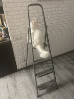 Отдается в дар Стремянка