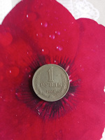 Отдается в дар Рубль 1964 года