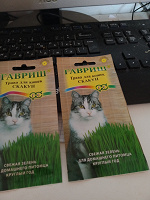 Отдается в дар трава для кошек