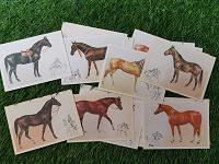 Отдается в дар открытки лошадки