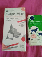 Ветеринарное