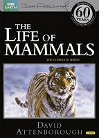 Отдается в дар DVD диски о животных