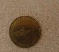 Отдается в дар Монетка с акулой