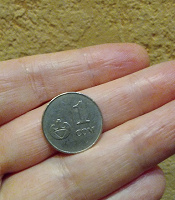Отдается в дар Монета 1 сом (2008)