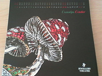 Отдается в дар Календарь 2011 с фотографиями ювелирных украшений